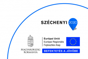 Idősek nappali ellátásához kapcsolódó épület felújítása